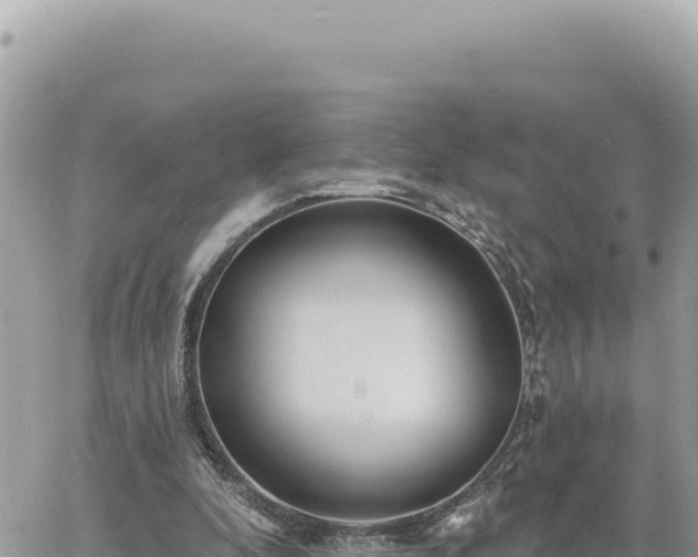 X0000060760296200511171155