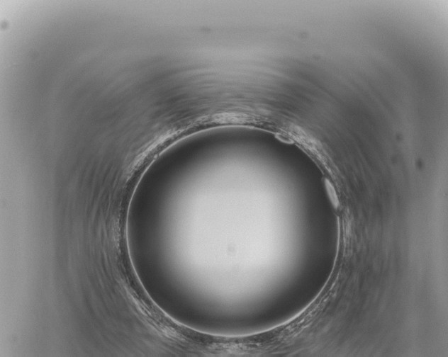 X0000060760297200511171155