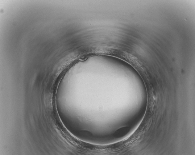 X0000060760299200511171155