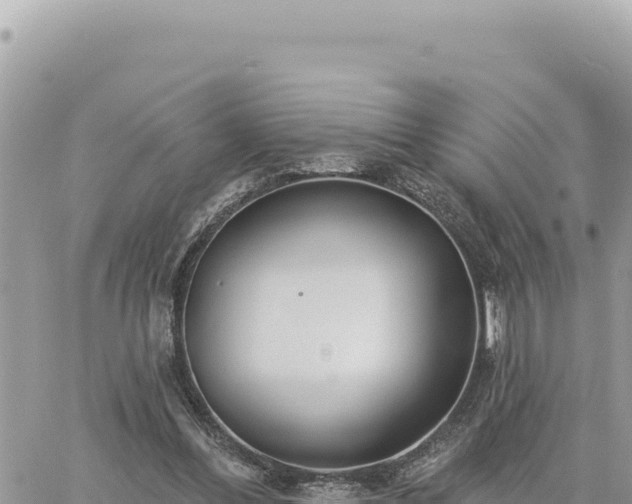 X0000060760300200511171155