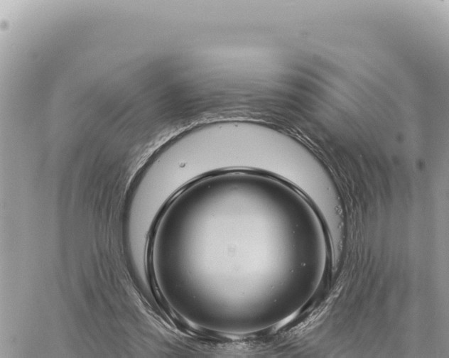 X0000060760301200511171155