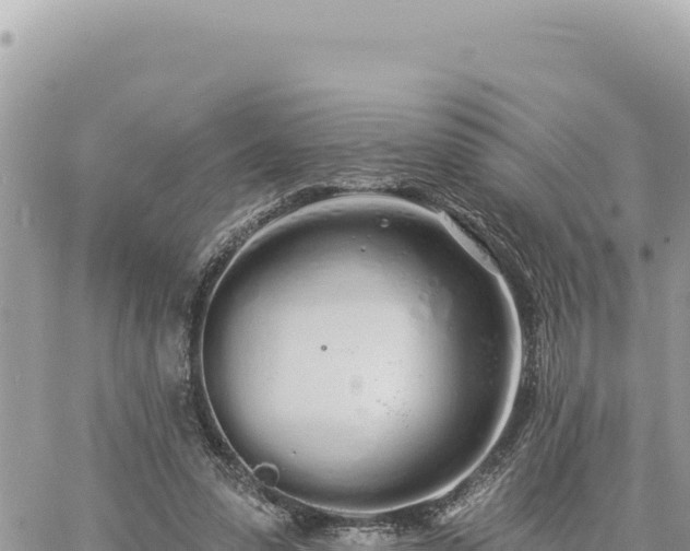 X0000060760303200511171155