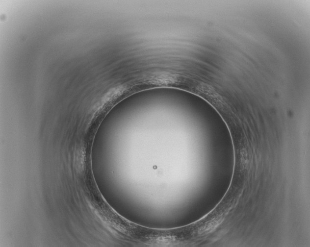 X0000060760304200511171155