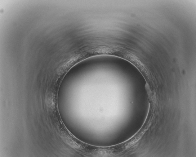 X0000060760305200511171155