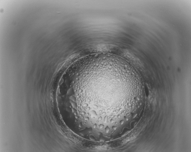 X0000060760306200511171155