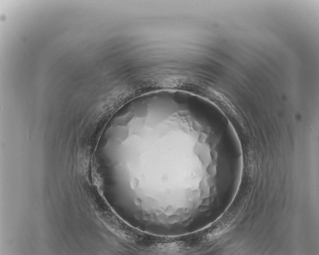 X0000060760307200511171155