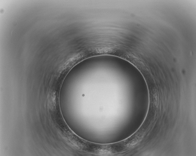 X0000060760308200511171155