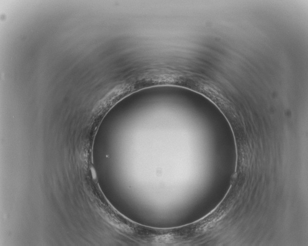 X0000060760309200511171155