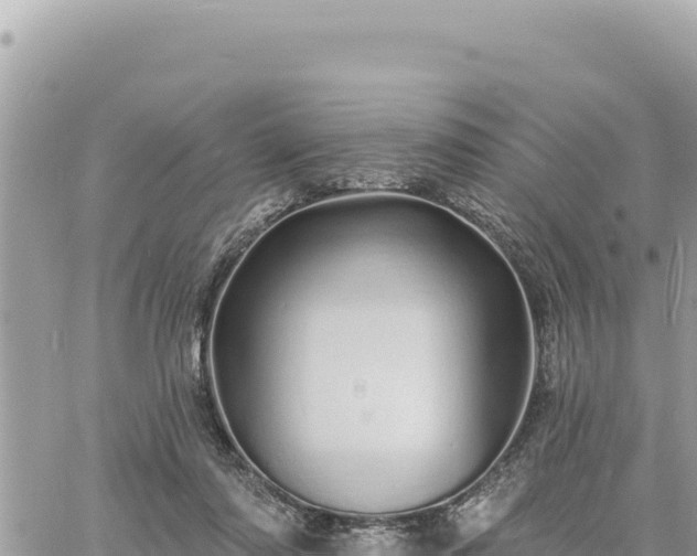 X0000060760310200511171155