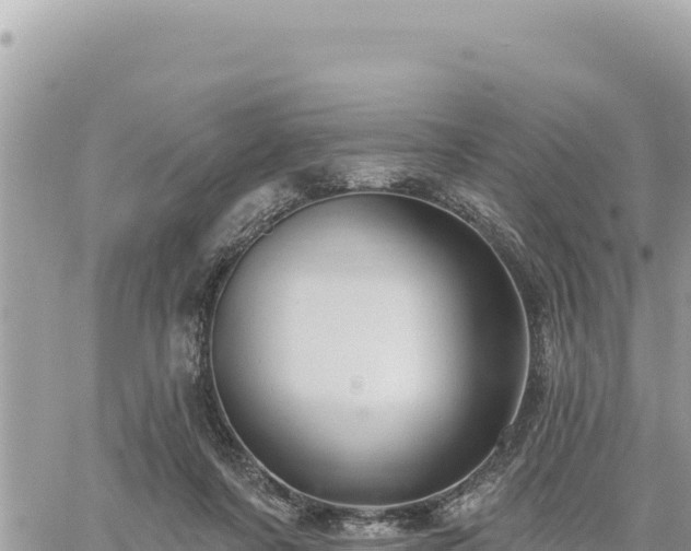 X0000060760311200511171155