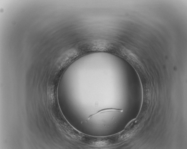 X0000060760312200511171154