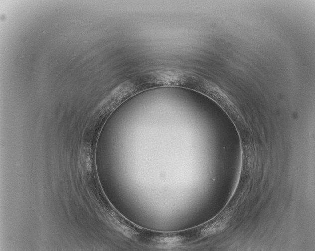 X0000060760313200511171154