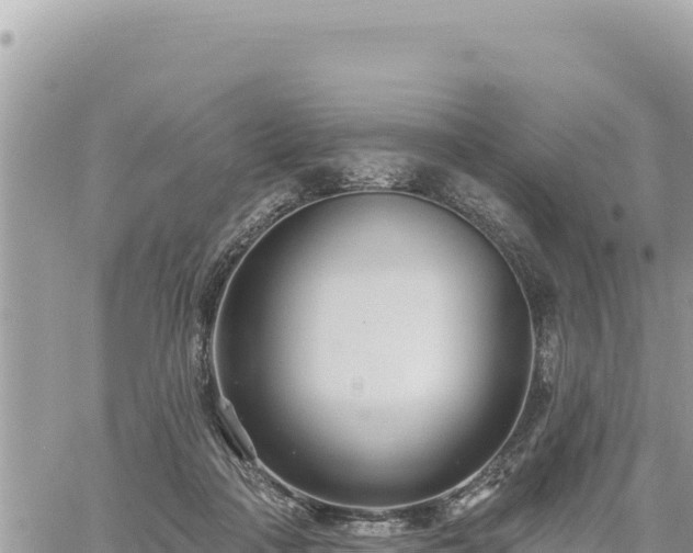 X0000060760314200511171154