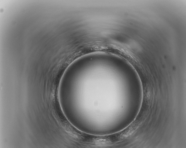 X0000060760315200511171154