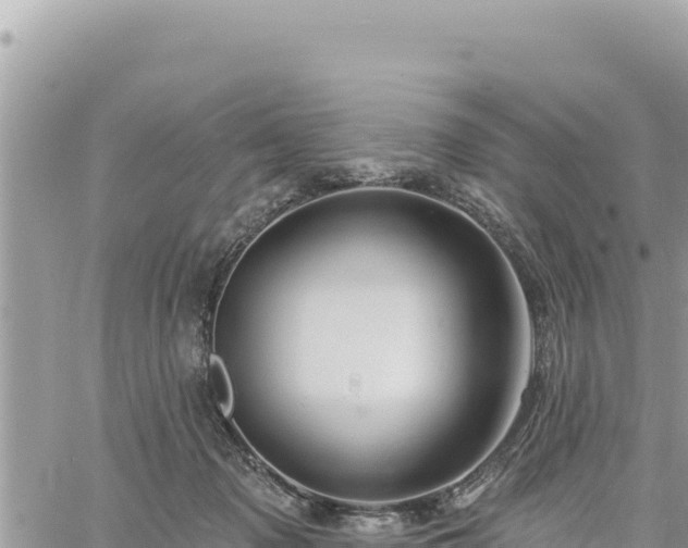 X0000060760317200511171154