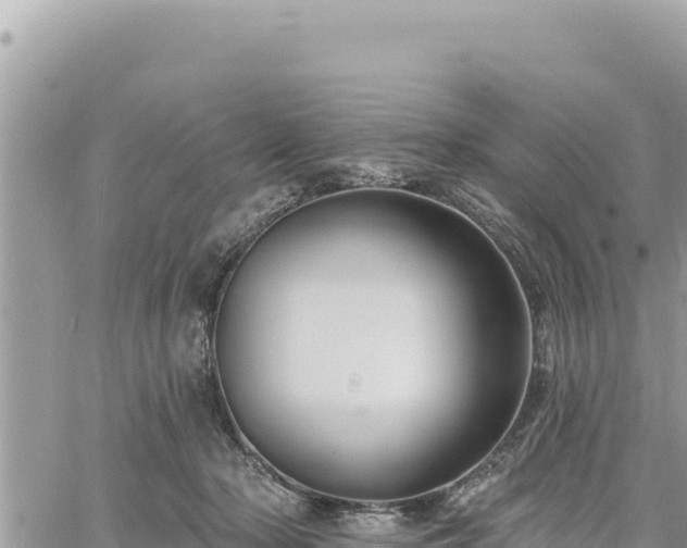 X0000060760318200511171154