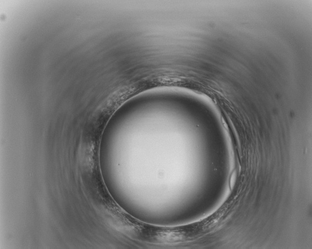 X0000060760319200511171154