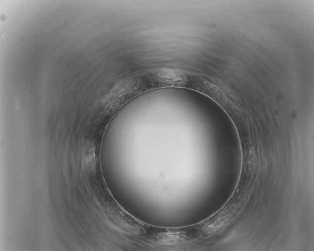 X0000060760320200511171154