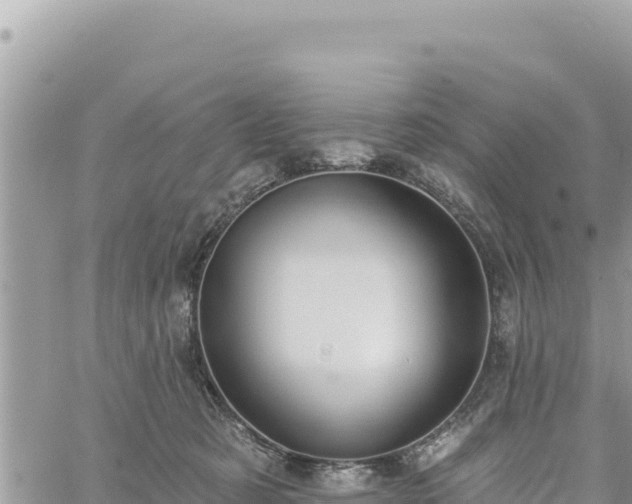 X0000060760321200511171154