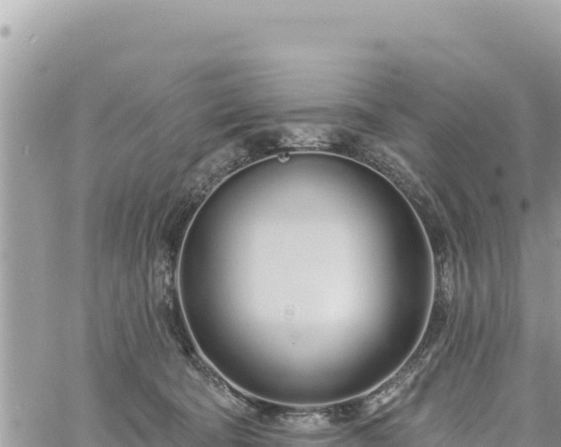 X0000060760322200511171154