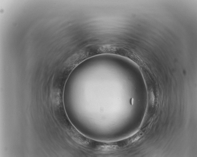 X0000060760323200511171154