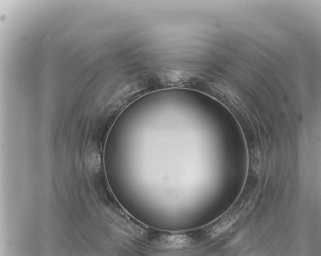 X0000060760324200511171154