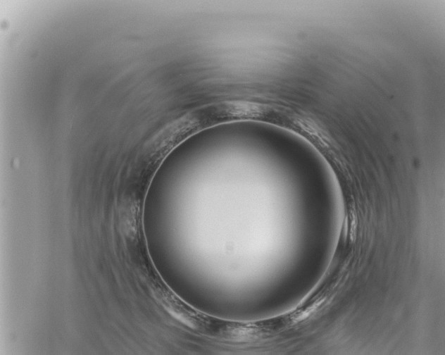 X0000060760325200511171154