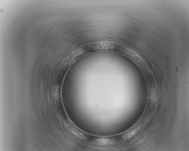 X0000060760326200511171154