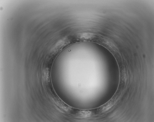 X0000060760328200511171154