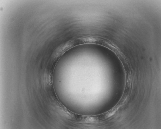 X0000060760330200511171154