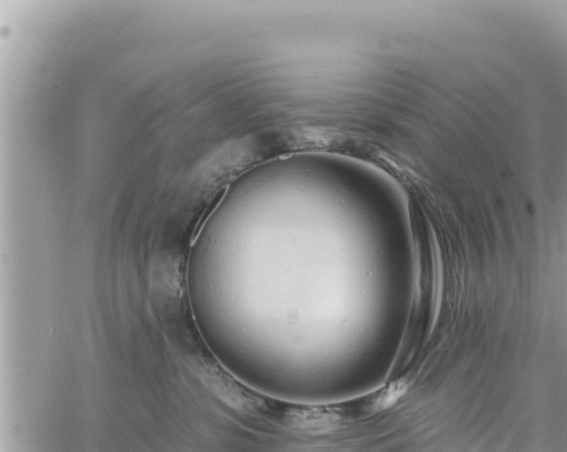 X0000060760331200511171154