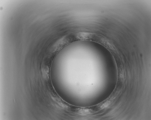 X0000060760332200511171154