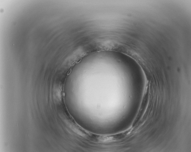 X0000060760334200511171154