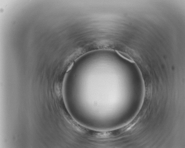 X0000060760335200511171154