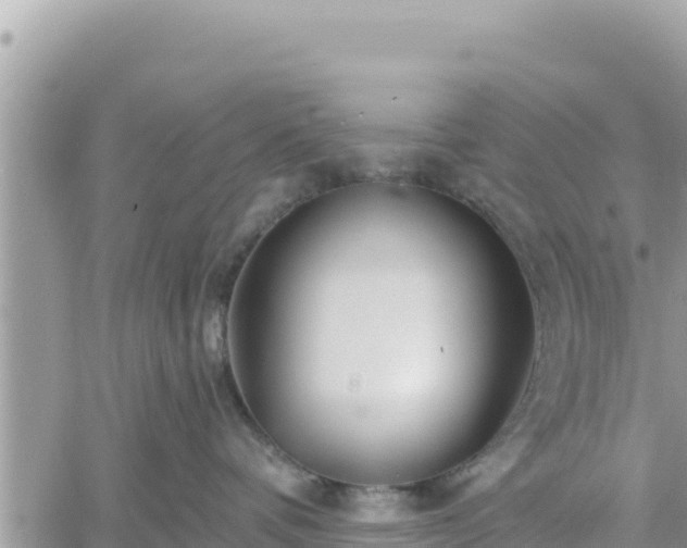 X0000060760336200511171154