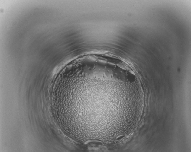 X0000060760337200511171153