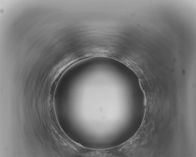 X0000060760338200511171153