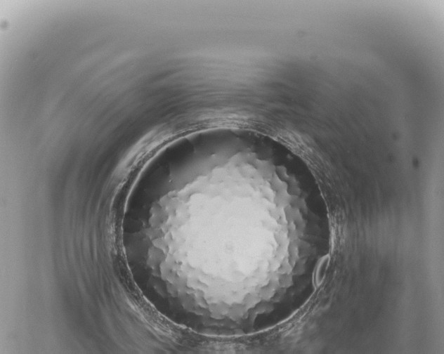 X0000060760339200511171153