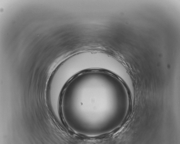 X0000060760340200511171153