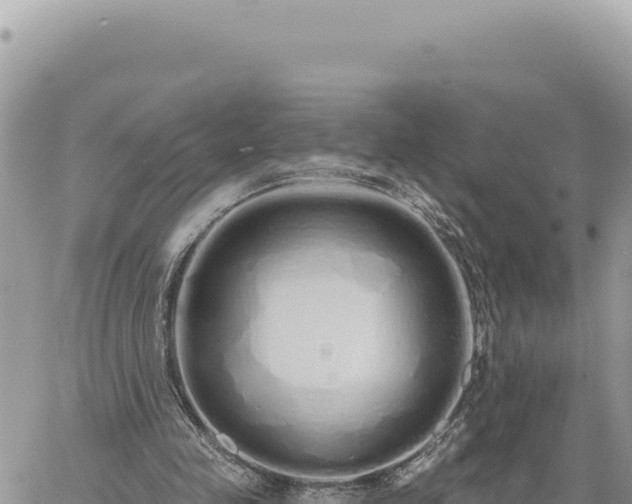 X0000060760341200511171153