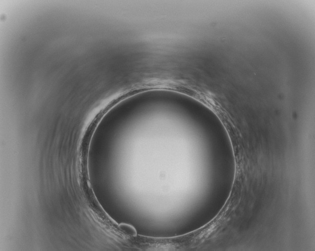 X0000060760342200511171153