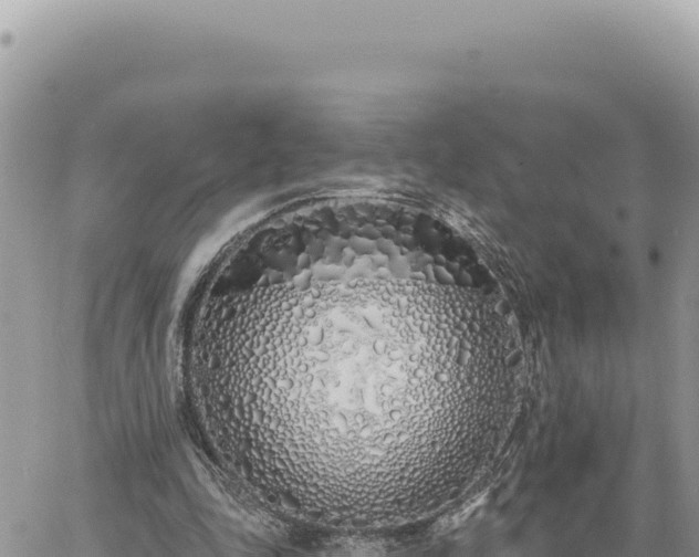 X0000060760343200511171153