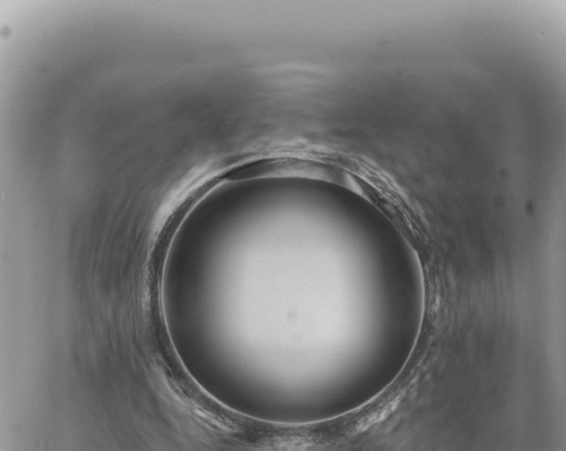 X0000060760344200511171153