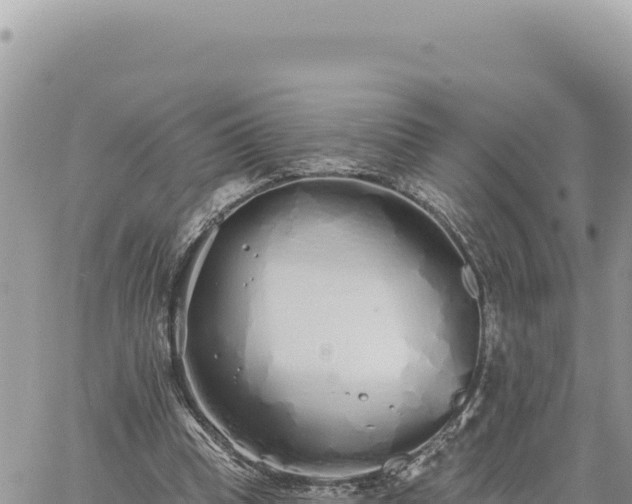 X0000060760345200511171153