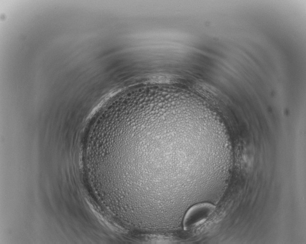 X0000060760347200511171153