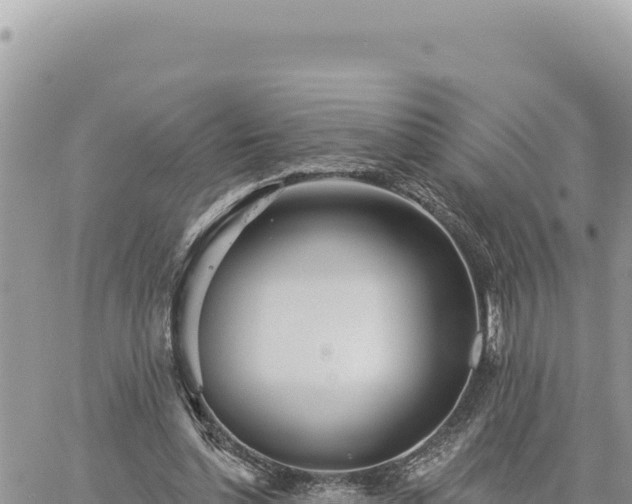 X0000060760348200511171153