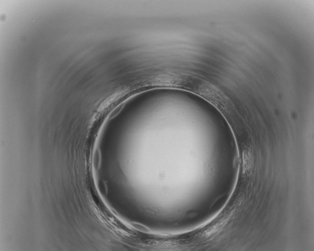 X0000060760349200511171154