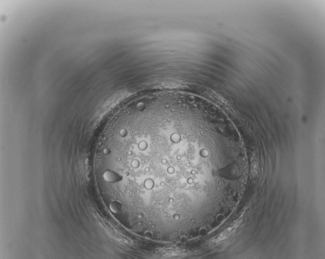 X0000060760351200511171154