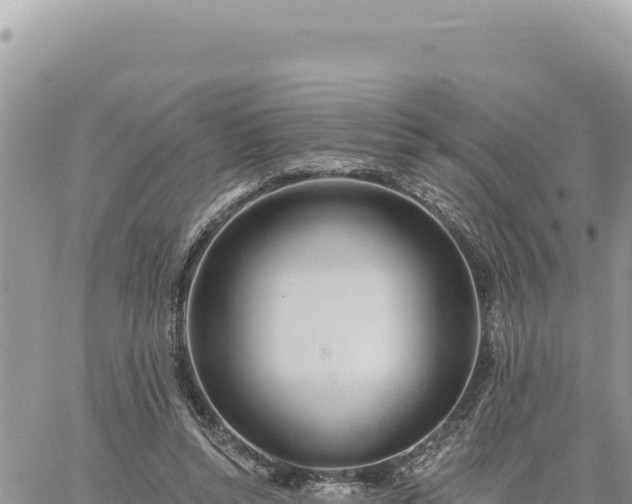 X0000060760352200511171154