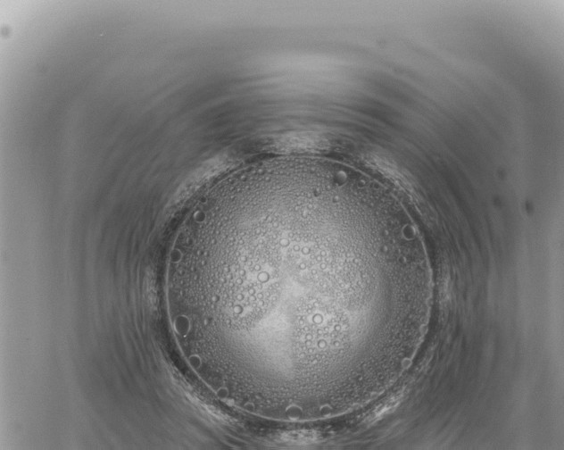 X0000060760353200511171154